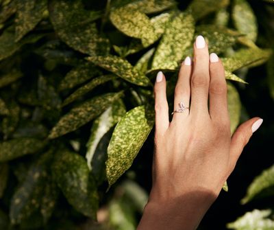 Butterfly Diamant Ring
