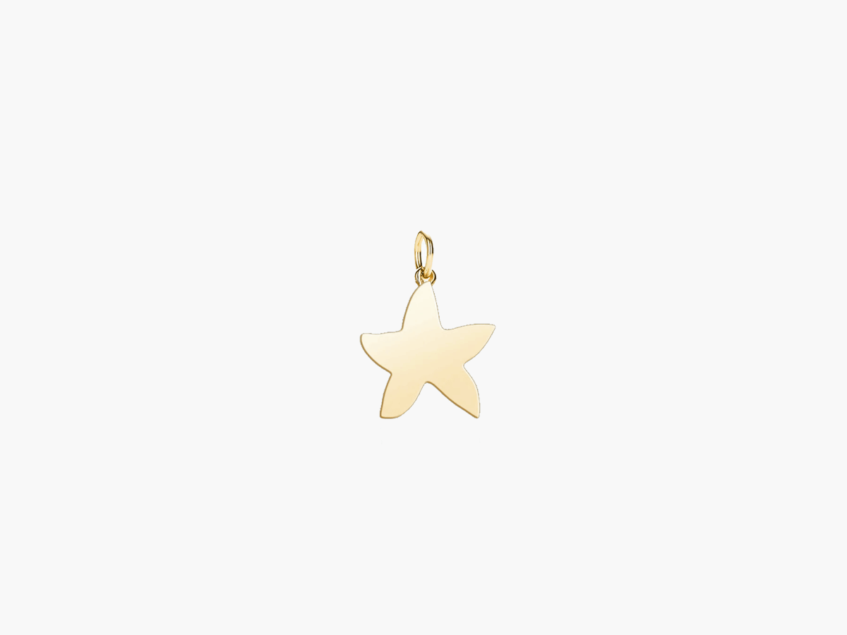 Starfish charm